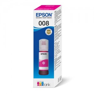 C13T06G300