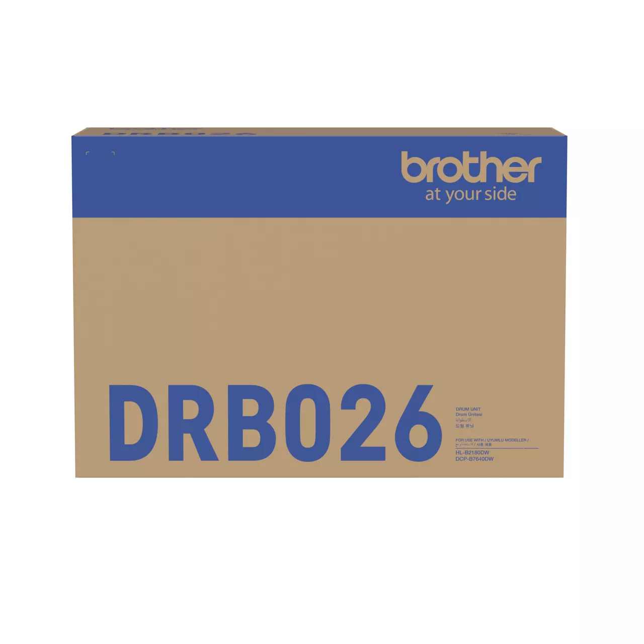 DRB026
